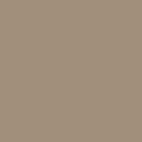 Buckskin Paint Color