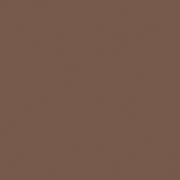 Chestnut Paint Color