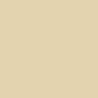Martin Cream Paint Color