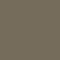 Shale Paint Color