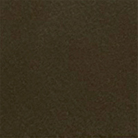 Buckskin Crinkle