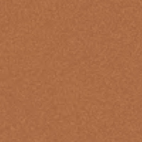 Copper Penny