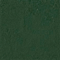Evergreen Crinkle